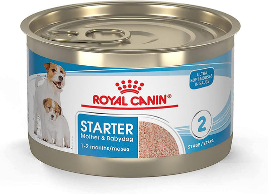 dog food near me florida royal canin